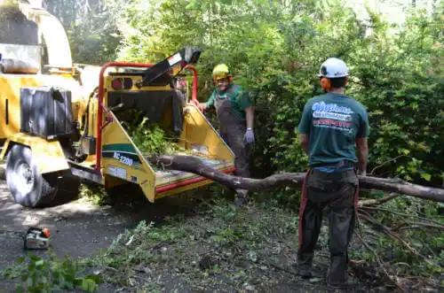 tree services Spirit Lake